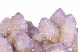Sparkling Cactus Amethyst Crystal Cluster - South Africa #382319-2